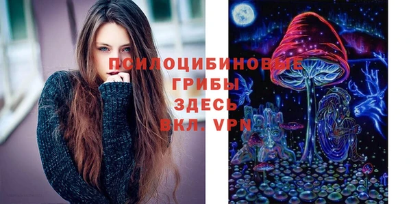 а пвп мука Армянск