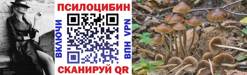 Галлюциногенные грибы ЛСД  Сегежа 